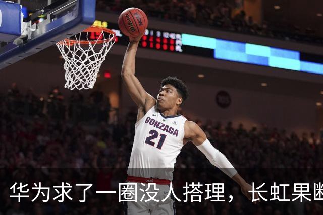 华为求了一圈没人搭理，长虹果断接盘